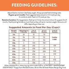 Buying the right dog food is essential to keep your dog healthy, happy and full of energy. Amazon Com Nutro Wholesome Essentials Natural Dry Dog Puppy Food Farm Raised Chicken Brown Rice Sweet Potato Recipe 15 Lb Bag Pet Supplies