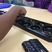 Kolej ini menawarkan pengajian sepenuh masa di peringkat sijil seperti : Kolej Komuniti Pasir Salak
