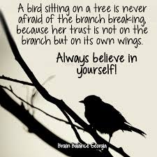 Bird Sitting On Branch Png A Bird Sitting On A Tree Is Never Afraid Of The Branch Breaking Because Her Trust Is Not On The Branch Believe In You Inner Strength After School Program