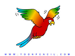 Flying Parrot Drawing Easy Ancestors of the parrot are believed to have lived about 65 million years ago, with. flying parrot drawing easy