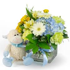 In arrangements of assorted flowers, the colors shown online will be used if at all possible, even if this means substituting other kinds of flowers of equal or greater value. Baby Boy Flowers Newborn Flowers Rockcastle Florist