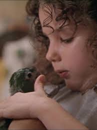 Miriam Bird's Instagram, Twitter & Facebook