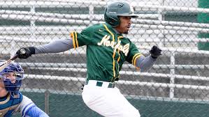 Make sure to join the nsu baseball booster club this year to help supplement the loss of this fundraising. Justin Hayes Baseball Norfolk State University Athletics