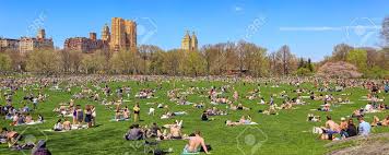 From concerts, movies, sports and fitness, to events for kids and seniors, there's always something to do in a park near you. New York Ny Usa 19 April 2015 Sheep Meadow New Yorker Geniessen Einen Heissen Fruhlingstag In Der Schaf Wiese Central Park Mit Upper West Side Im Hintergrund Samstag War Der Warmste Tag