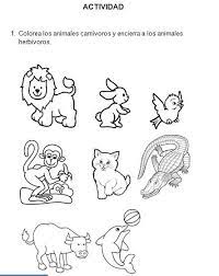 Pin De Mercedes De Em Tercer Grado Literatura Infantil Animais Mamiferos Ensino De Espanhol