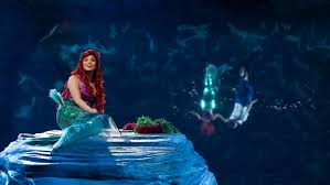 For the television special, former rise star auli'i cravalho, who also provided the voice for disney's moana. The Little Mermaid Live Tv Movie 2019 Imdb