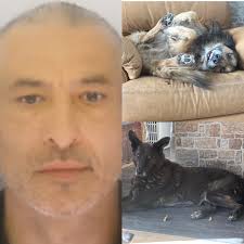 Une huile 0W30 est-elle vraiment meilleure qu'une 5W30 pour les démarrages  à froid, ou c'est juste marketing 🤔?