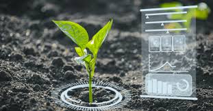 Large datasets IndexedDB