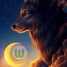 Explore tweets of vfl wolfsburg @vfl_wolfsburg on twitter. Wolfsburger Rapper Nur Der Vfl Vfl Wolfsburg 1945
