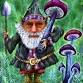 ABCs of Summer Mushrooms — Ozark Folkways