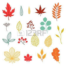 Set Di Piante Tropicali Stilizzati Foglie E Fiori Foglie Che Cadono Foglie Foglie Di Autunno