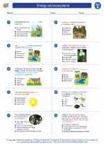 Spectrum reading brings curriculum content reading passages to life! Energy And Ecosystems 5th Grade Science Worksheets And Answer Keys Study Guides And Vocabulary Sets