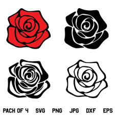 Download Rose Clipart Bundle Pack Of 4 By Kara And Kem Teachers Pay Teachers