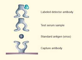 Image result for Neutralization Test