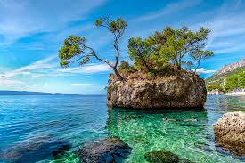 Croatia has been present on the contemporary international political stage since its it is the official language of the republic of croatia, and is also spoken by croats in bosnia. Croacia Ofrece Una Beca Para Viajar Gratis Para Ayudar A La Fauna Marina National Geographic En Espanol