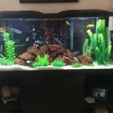 Pin By Reopalit2 On Game Aquarium Aquarium Fish Keep It Cleaner