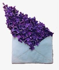 Check spelling or type a new query. Dark Purple Flowers Aesthetic Transparent Png 540x627 Free Download On Nicepng