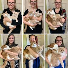 Jellycat rare bunglie kitten cat soft plush toy kitty cat. 28 Best U Armyfarmer Images On Pholder Girls With Huge Pussies Big Cat Gifs And Tightpussy