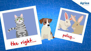 Here are seven companies who insure rabbits in this article, we review the different pet insurance policies available and compare the costs and cover to help you find the best rabbit insurance for your bun. Agria Pet Insurance Home Facebook