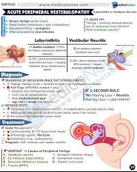 Image result for Bacterial Labyrinthitis
