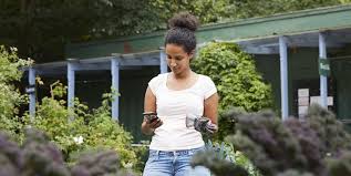 You will gain knowledge about sowing different flowers and vegetables. 7 Best Gardening Apps Virtual Tools For Garden Planning