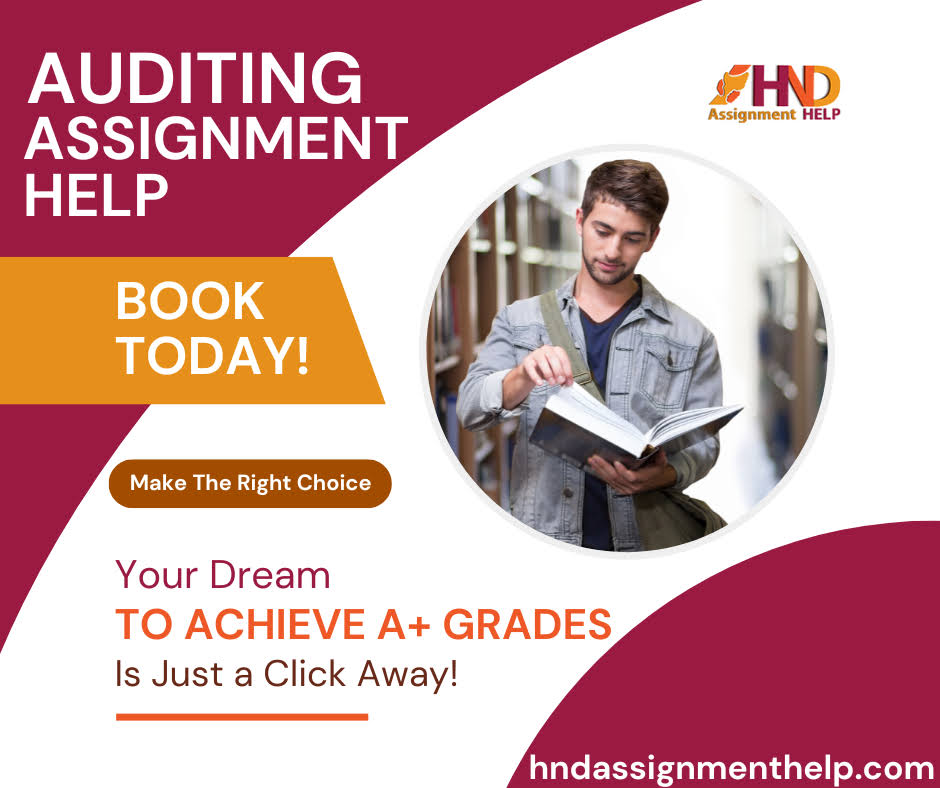 Auditing Assignment Help product image