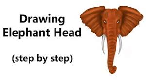 Draw a cross on the face keeping in mind that its seen in perspective. How To Draw An Elephant Head Step By Step Youtube
