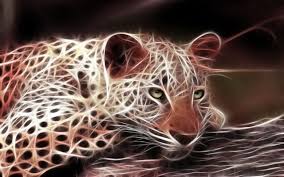 Find over 100+ of the best free animal background images. 3d Wallpapers Animal Group 79