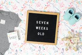 Your 7 Week Old Baby