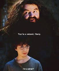 Maybe you would like to learn more about one of these? Harry Potter World On Twitter 31 July 1991 Hagrid You Re A Wizard Harry Harry I M A What Happybirthdayharrypotter