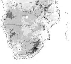 Image result for Cheilanthes angustifrondosa