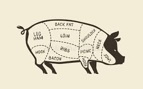 pig butcher chart stock illustrations 307 pig butcher