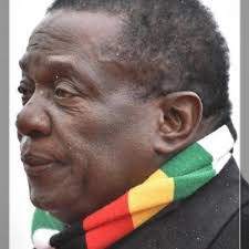 Shane Warth's Instagram, Twitter & Facebook