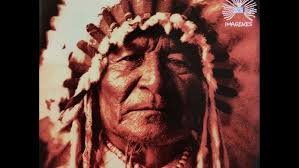 os encantos da floresta