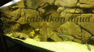 Tabalkon Aqua 3d Akvaryum Fon Kisiye Ozel Tasarimlar El Isciligi Ile Kalipsiz Akvaryum Tasarim Akvaryum Tasarim Uygulamalar