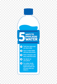 Water Cartoon Png Download 3300 4800 Free Transparent Water Bottles Png Download Cleanpng Kisspng Happy cartoon plastic water bottle. water cartoon png download 3300 4800