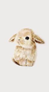 Looney tunes bugs bunny wallpaper, minimalism, rabbit, black background. Wallpaper Super Cute Kawaii Pet Love Dwarf Bunny Rabbit Cute Animal Drawings Animal Drawings Cute Drawings