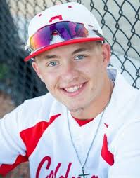 Meet the 2019 Battle Creek Enquirer All-Area Baseball Team