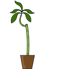 How To Draw Cartoon Bamboo How To Draw Cartoons Extend a curved line horizontally from each of the parallel lines. how to draw cartoon bamboo how to