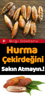 Sundus Kurtulus Adli Kullanicinin Hurma Panosundaki Pin Hurma Saglik Saglikli