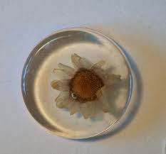 Maybe you would like to learn more about one of these? Techniques To Embed Flowers In Resin 12 Steps With Pictures Instructables