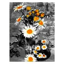 The name daisy comes from the english translation, daes send mother's day daisies, a refreshing daisy flower arrangement, a colorful daisy bouquet in a glass vase, or a bright daisy flower delivery to say. Diamond Embroidery Daisy Flowers Diy Diamond Painting Full Drill Square Rhinp5p8 4894841037563 Ebay