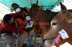 3 Alasan Kenapa Harus Berkurban Di Hari Raya Idul Adha