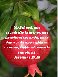 Pin De Dudu Monagas En Versos Favorito Fruta La Mente Mente