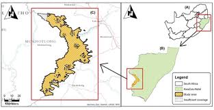 Eve deals with her last encounter with her ex, and. The Utility Of Sentinel 2 Vegetation Indices Vis And Sentinel 1 Synthetic Aperture Radar Sar For Invasive Alien Species Detection And Mapping