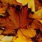 Ohio Fall Challenge Triathlon, Duathlon & Aquabike