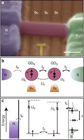 Yu–Shiba–Rusinov screening of spins in double quantum dots | Nature  Communications
