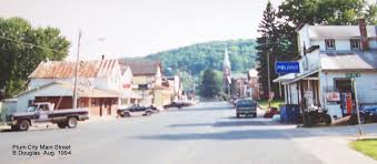 Image result for Plum 1994 Truck