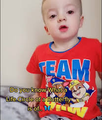 Do you know?😀🦋 #learnontiktok #learn #storytime #story #kidsoftiktok  #butterfly #caterpillar #facts #motherandson #mom #foryou #smile