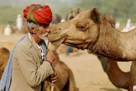 People suffering from alzheimer's disease could be diagnosed years earlier with the help of a new smell test, which detects symptoms years before memory loss kicks in, scientists have discovered. Camel Llama Antibodies Inspire New Cancer Treatment Deccan Herald
